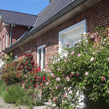 Apartment In Mit Kleiner Terrasse Stoltebull
